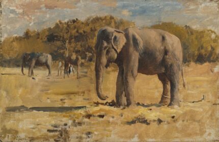 Edwin Lord Weeks Elephant, Ajmere; Oil on canvas; Signed 'EL Weeks Ajmere' lower left; bearing Mark Murray Gallery label (back); 51 x 33 cm